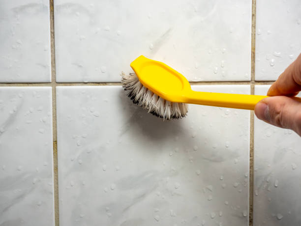 Best Mold Removal and Inspection  in Homerville, GA
